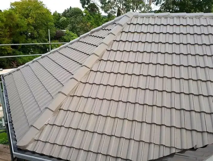 gisborne roof cleaning and washing
